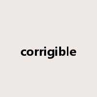 corrigible是什么意思