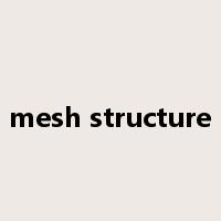 mesh structure是什么意思