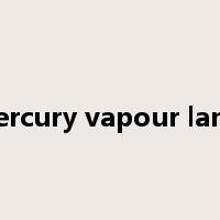 mercury vapour lamp是什么意思