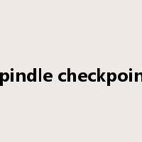 spindle checkpoint是什么意思