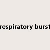 respiratory burst是什么意思