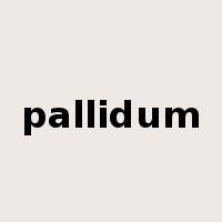 pallidum是什么意思