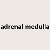 adrenal medulla是什么意思