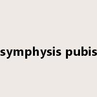 symphysis pubis是什么意思