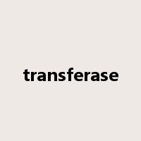 transferase是什么意思