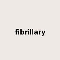fibrillary是什么意思