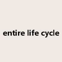 entire life cycle是什么意思