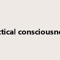 tactical consciousness是什么意思