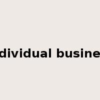 individual business是什么意思