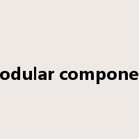 modular component是什么意思