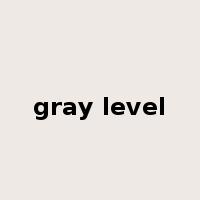 gray level是什么意思