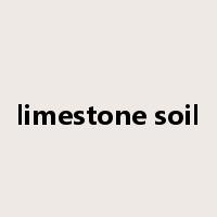 limestone soil是什么意思