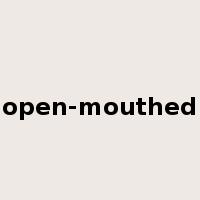 open-mouthed是什么意思
