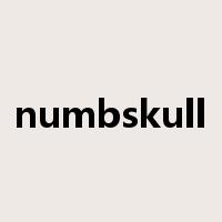 numbskull是什么意思