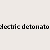 electric detonator是什么意思