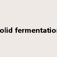 solid fermentation是什么意思