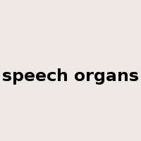 speech organs是什么意思