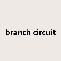 branch circuit是什么意思