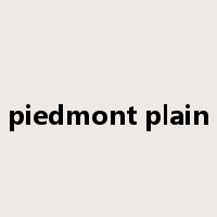piedmont plain是什么意思
