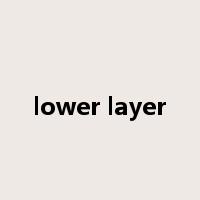lower layer是什么意思