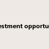 investment opportunity是什么意思