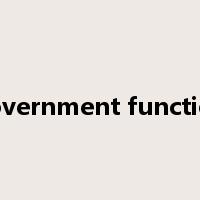 government function是什么意思