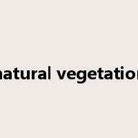 natural vegetation是什么意思