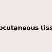 subcutaneous tissue是什么意思