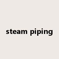 steam piping是什么意思