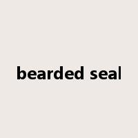 bearded seal是什么意思