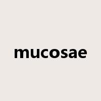 mucosae是什么意思