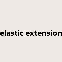 elastic extension是什么意思