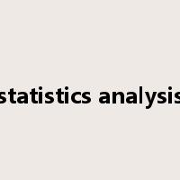 statistics analysis是什么意思