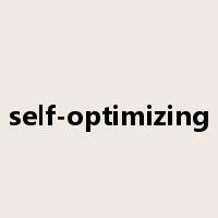 self-optimizing是什么意思