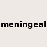 meningeal是什么意思