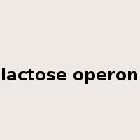 lactose operon是什么意思