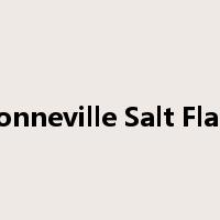 Bonneville Salt Flats是什么意思