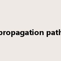 propagation path是什么意思