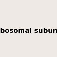ribosomal subunit是什么意思