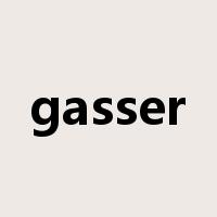 gasser是什么意思