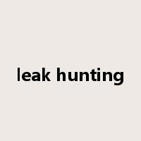 leak hunting是什么意思