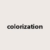 colorization是什么意思