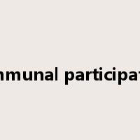communal participation是什么意思