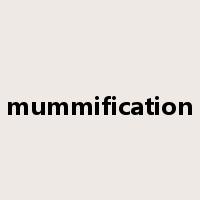 mummification是什么意思
