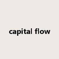 capital flow是什么意思