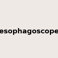 esophagoscope是什么意思