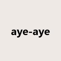 aye-aye是什么意思