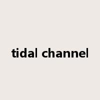 tidal channel是什么意思