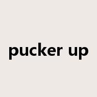 pucker up是什么意思