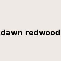 dawn redwood是什么意思